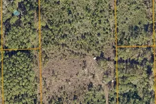 4739 Kola Rd, New Smyrna Beach, FL 32168 - Photo 1