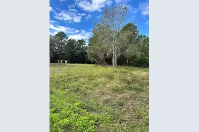 31242 Lakeside Drive, Deland, FL 32720 - Photo 1