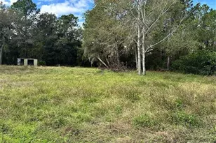 31242 Lakeside Dr, Deland, FL 32720 - Photo 1