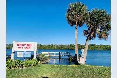 251 Bissit Bay Road, Oak Hill, FL 32759 - Photo 1