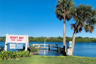 251 Bissit Bay Rd, Oak Hill, FL 32759 - Photo 1