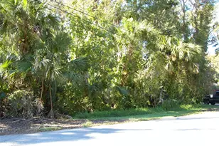 332 Patricia Dr, New Smyrna Beach, FL 32168 - Photo 1