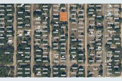 Guy Ave, Interlachen, FL 32148 - Photo 1