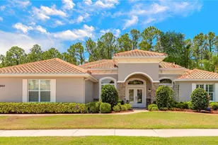 260 Portofino Blvd, New Smyrna Beach, FL 32168 - Photo 1