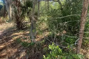 108 Rabbit Track Rd, Satsuma, FL 32189 - Photo 1