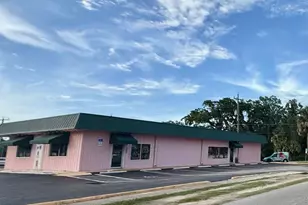 401 Mary Ave, New Smyrna Beach, FL 32168 - Photo 1