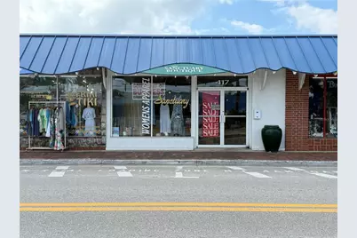 417 Flagler Avenue, New Smyrna Beach, FL 32169 - Photo 1