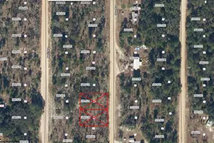 Guy, Interlachen, FL 32148 - Photo 1