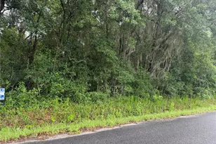 241 Dog Branch Rd, East Palatka, FL 32131 - Photo 1