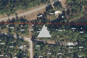 116 S Georgetown Point Rd, Georgetown, FL 32139 - Photo 1
