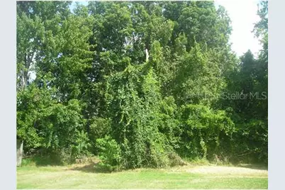 1538 Buck Street, Lake Placid, FL 33852 - Photo 1