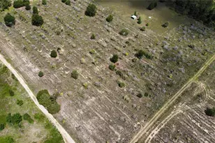 8705 Turkey Oak Ln, Clermont, FL 34714 - Photo 1