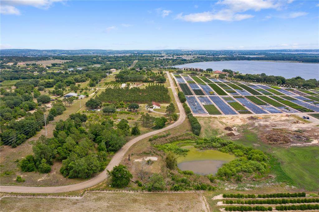 cherry lake tree farm groveland fl