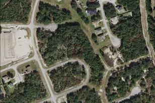 409 Maitland Ct, Poinciana, FL 34759 - Photo 1