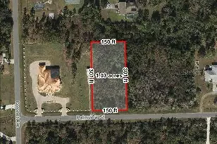 0 Palmview St, Orlando, FL 32833 - Photo 1