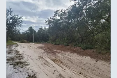Cooter Pond Road, Deland, FL 32720 - Photo 1