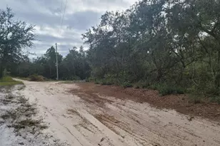 Cooter Pond Rd, Deland, FL 32720 - Photo 1
