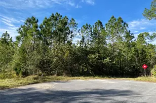 Cartwright Ct, Orlando, FL 32833 - Photo 1