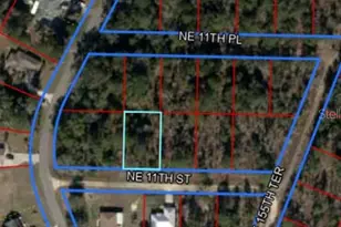 Tbd NE 11th Street S, Williston, FL 32696 - Photo 1