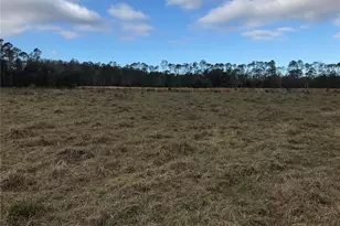 1325 Fort Christmas Rd, Chuluota, FL 32766 - Photo 1
