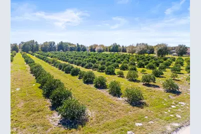 35538 Fairview Heights Road, Zephyrhills, FL 33541 - Photo 1