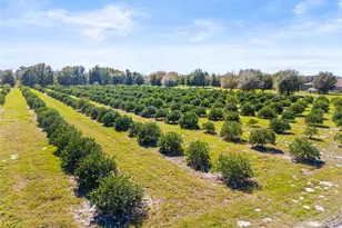 35538 Fairview Heights Rd, Zephyrhills, FL 33541 - Photo 1