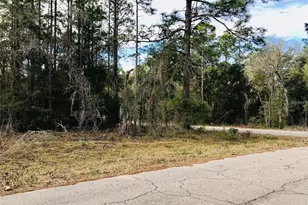 Tbd NE 15th St, Williston, FL 32696 - Photo 1