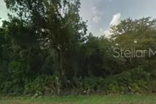 NE 48th Ave, Citra, FL 32113 - Photo 1