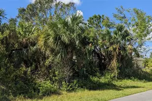 Coolidge Ave, North Port, FL 34286 - Photo 1