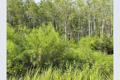 Old Polk City Road, Haines City, FL 33844 - Photo 1