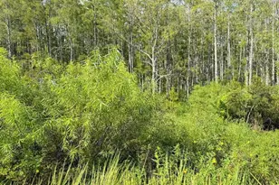 Old Polk City Rd, Haines City, FL 33844 - Photo 1