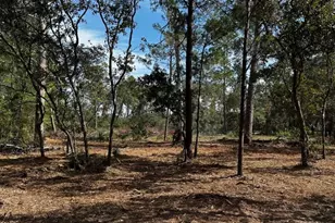 6235 N Red Fern Terrace, Beverly Hills, FL 34465 - Photo 1