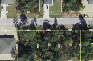 406 Mulberry Ct, Poinciana, FL 34759 - Photo 1