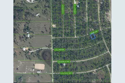 3236 Dean Avenue, Lake Placid, FL 33852 - Photo 1