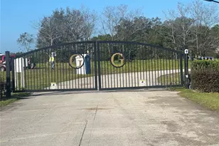 O Ocilla Loop, Clermont, FL 34714 - Photo 1