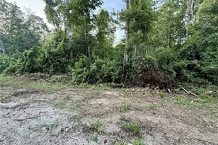 Sweetwater Trail, Kissimmee, FL 34747 - Photo 1