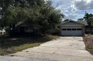 2680 Palmetto Rd, Mount Dora, FL 32757 - Photo 1