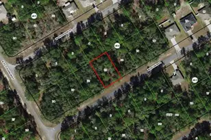 245 W Ruska Pl, Citrus Springs, FL 34434 - Photo 1