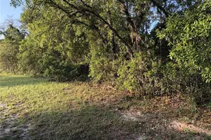Undertermined, Ocala, FL 34473 - Photo 1