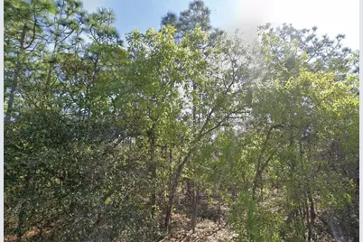 7343 S Ridge Point, Homosassa, FL 34446 - Photo 1