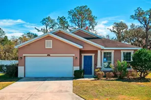 2729 Walden Woods Dr, Plant City, FL 33566 - Photo 1