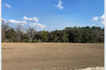 Tbd NW Hwy 316 Sugar Woods Lot#15, Reddick, FL 32686 - Photo 1