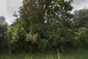 00 Emerald Loop Way Lot 28, Ocala, FL 34472 - Photo 1