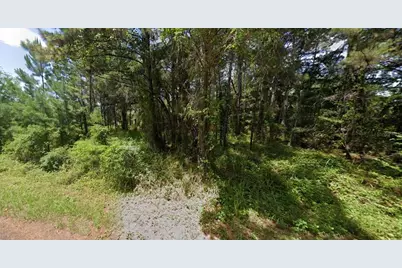 Oak Lane Track, Ocala, FL 34472 - Photo 1