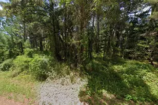 Oak Ln Track, Ocala, FL 34472 - Photo 1