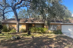 403 W Bougainvillea Ave, Tampa, FL 33612 - Photo 1