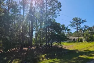 0 Florida Grackle Ct, Frostproof, FL 33843 - Photo 1