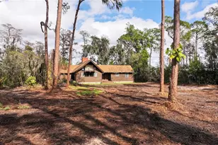 10433 Trout Rd, Orlando, FL 32836 - Photo 1