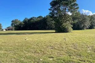 380 E Dusty Ct, Hernando, FL 34442 - Photo 1