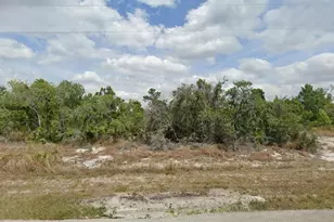 1348 Aleutian St NE, Lake Placid, FL 33852 - Photo 1
